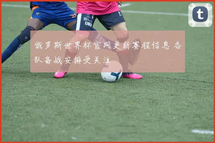 俄罗斯世界杯官网更新赛程信息 各队备战安排受关注