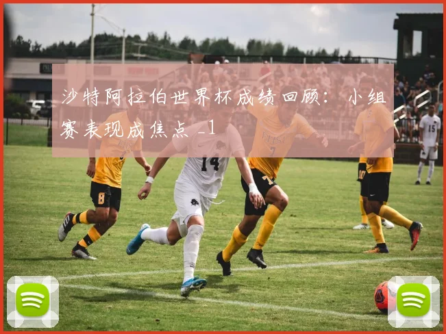 沙特阿拉伯世界杯成绩回顾:小组赛表现成焦点 _1
