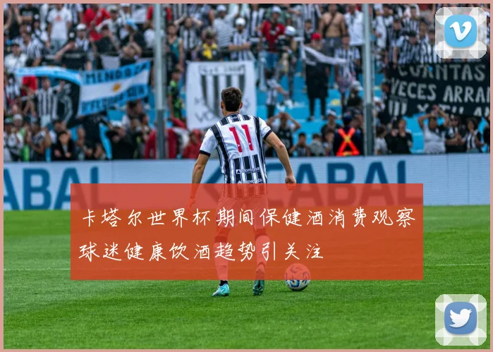 卡塔尔世界杯期间保健酒消费观察球迷健康饮酒趋势引关注